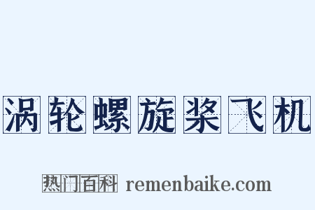 涡轮螺旋桨飞机是什么意思的图片